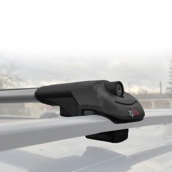 Багажник Apline ACE1 на рейлинги серый